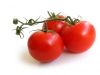 ripe tomato